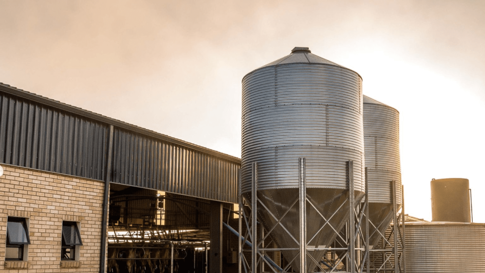 Thumbnail for Just Milk Group unveils Mountain View Dairy in Eastern Cape